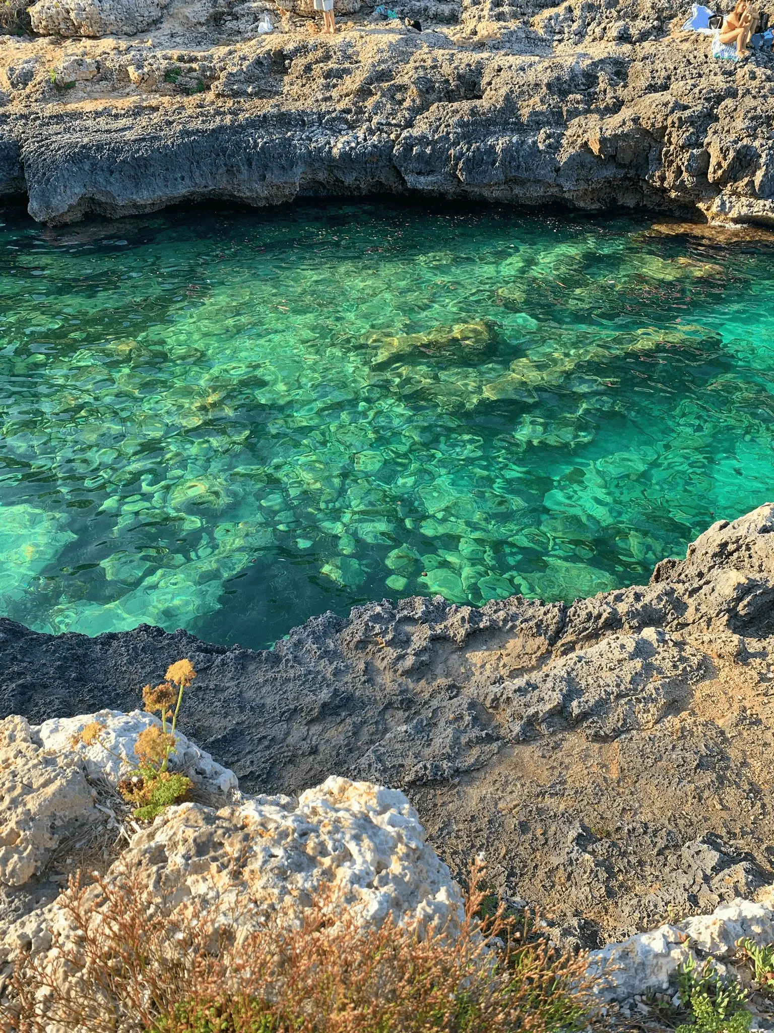 cala_almunia_mallorca