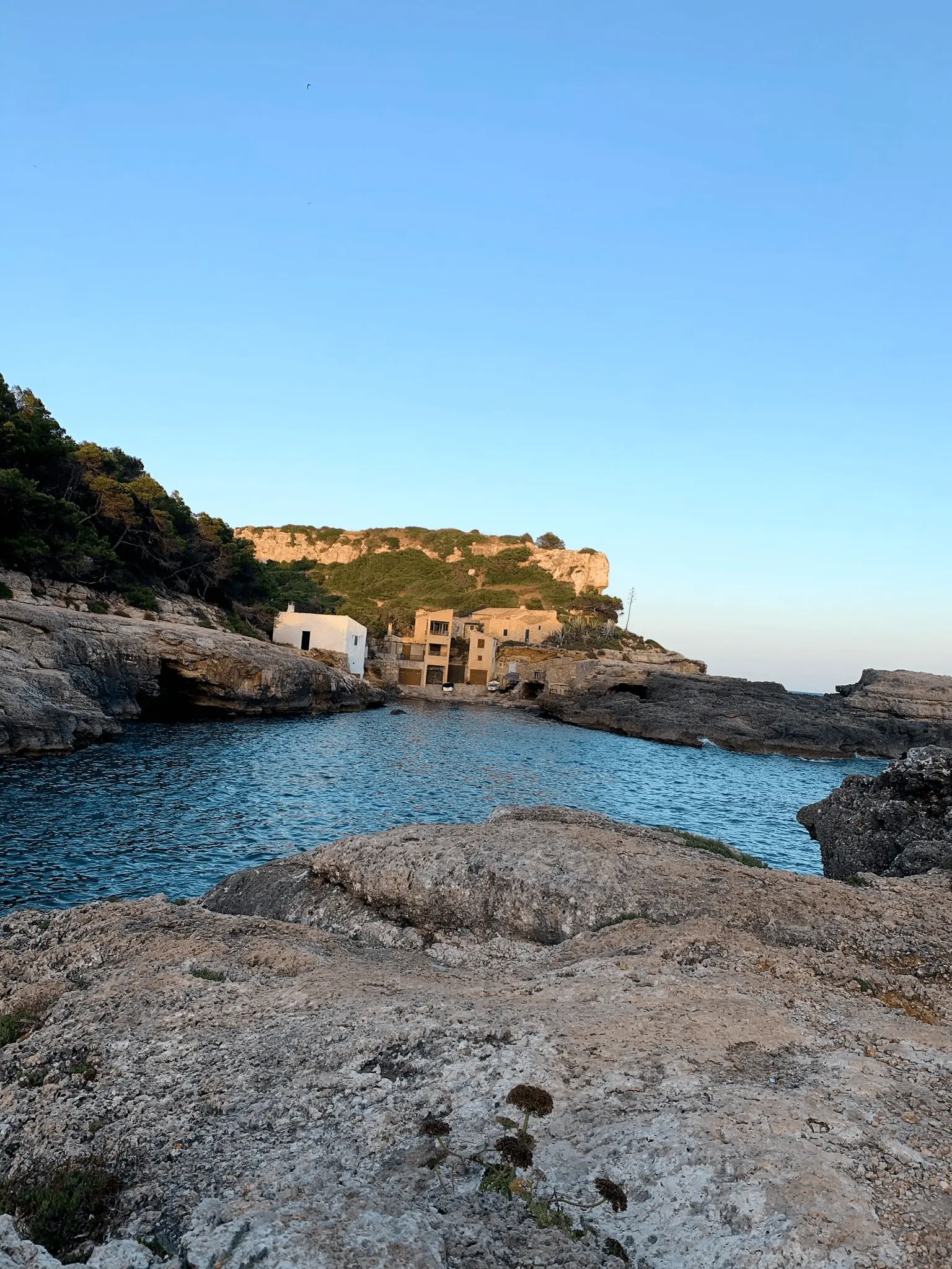 cala_almunia_mallorca2